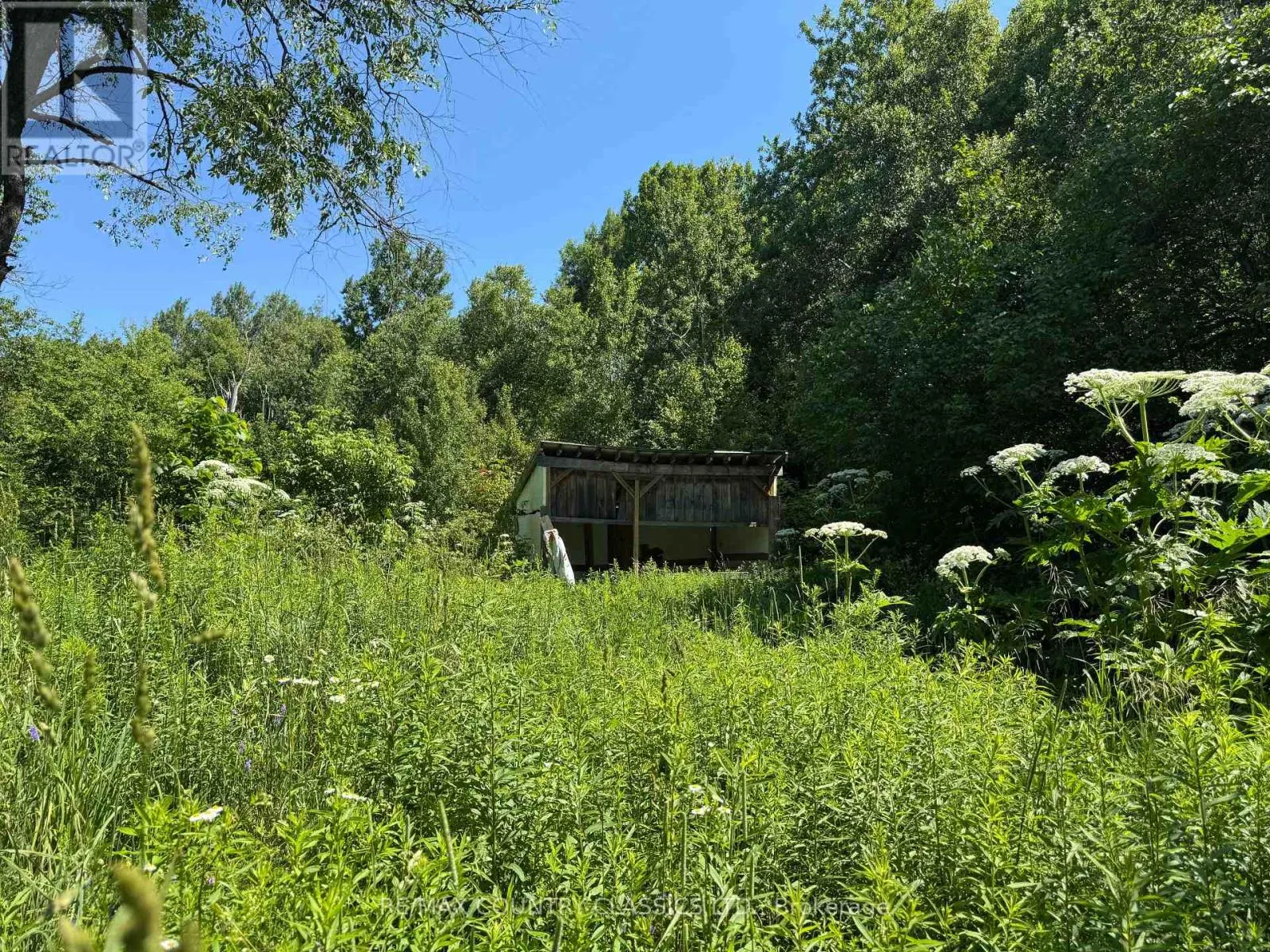 790 MCDONALD MINE ROAD