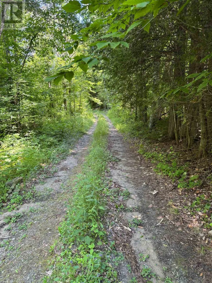 790 MCDONALD MINE ROAD