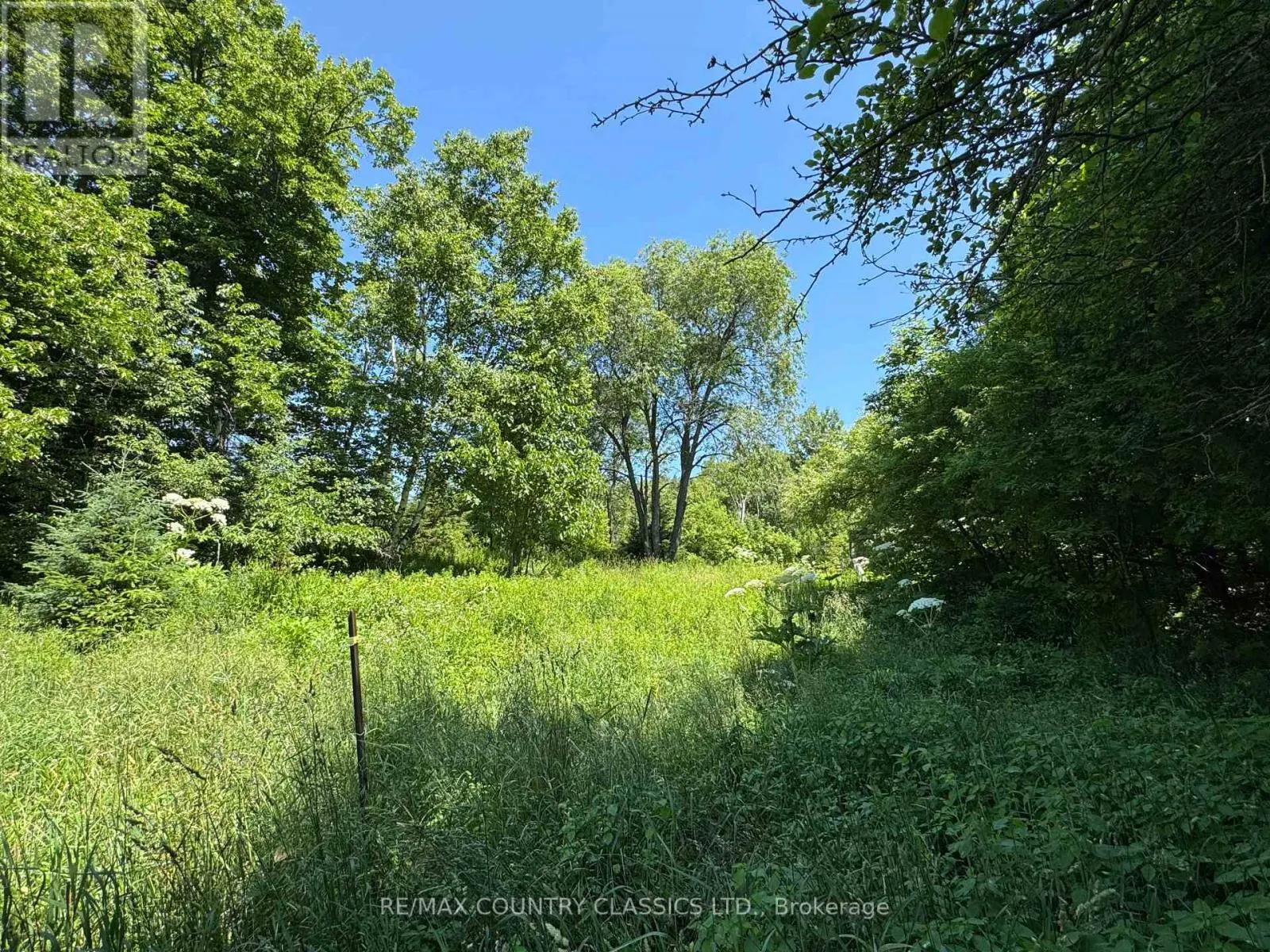 790 MCDONALD MINE ROAD
