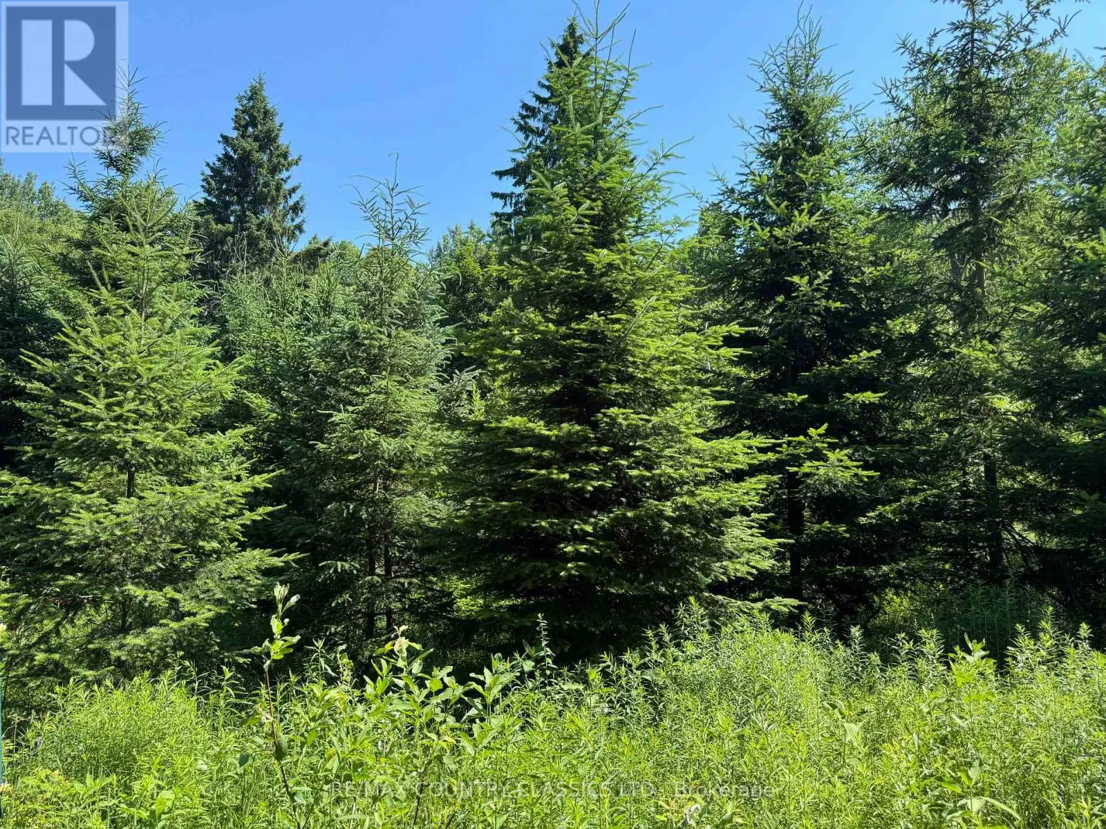 790 MCDONALD MINE ROAD