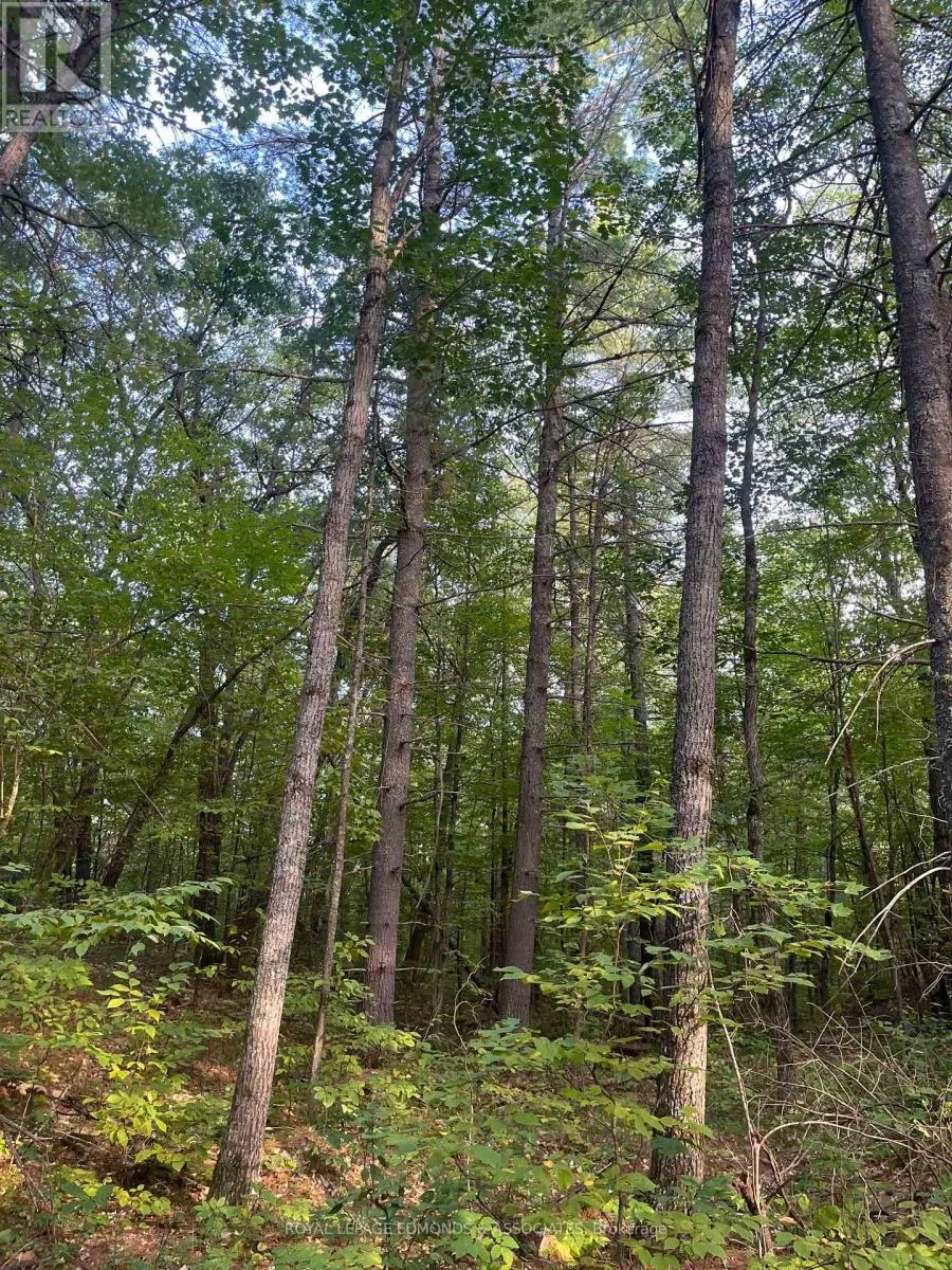 0 BUCHOLTZ ROAD