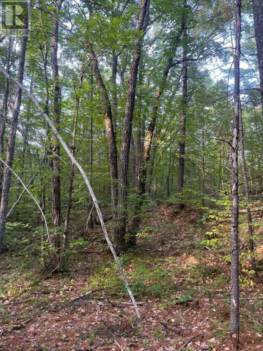 0 BUCHOLTZ ROAD