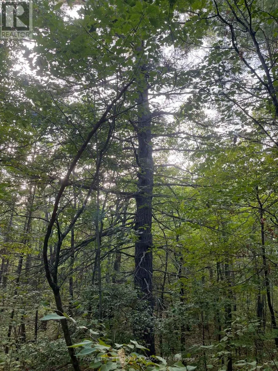 0 BUCHOLTZ ROAD