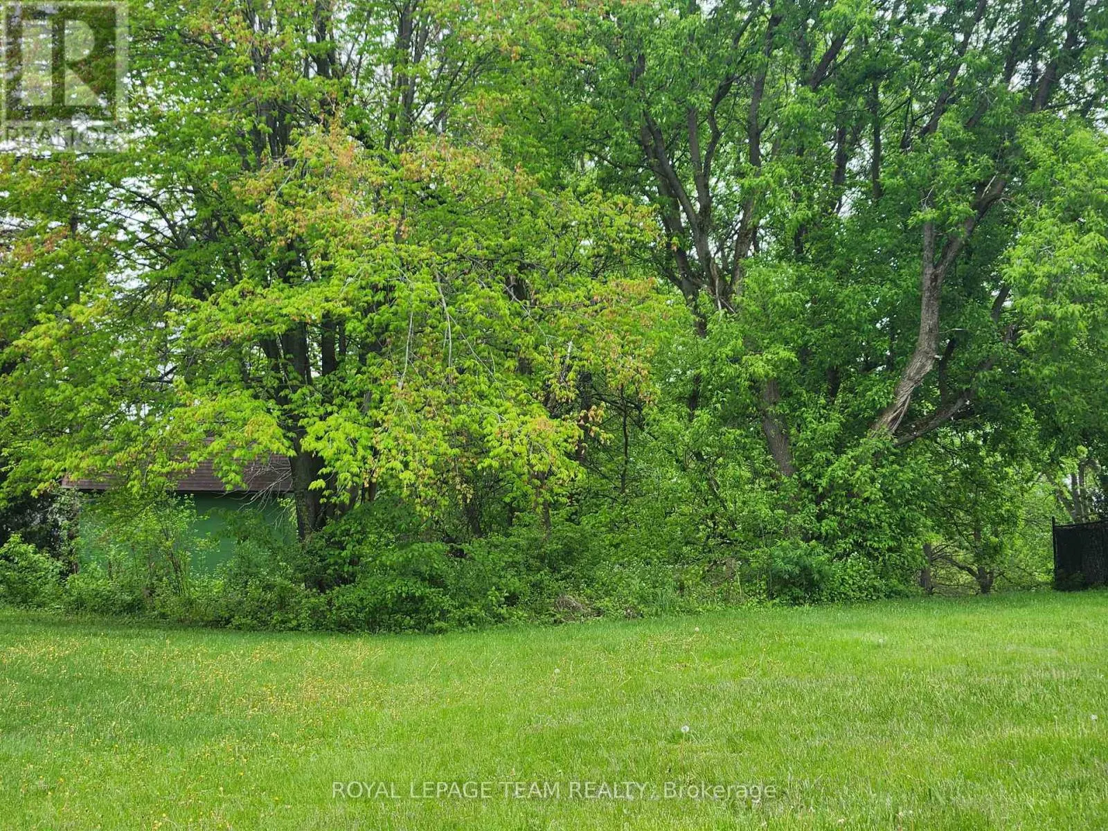 3787 CARP ROAD