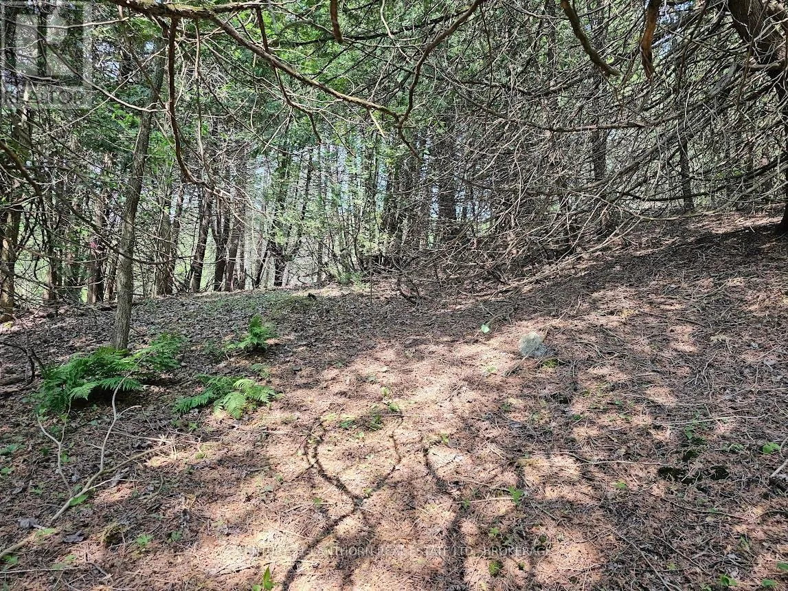 0000 CEDARSTONE ROAD
