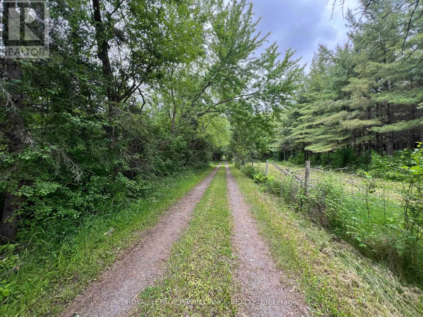 4563 COUNTY ROAD 9