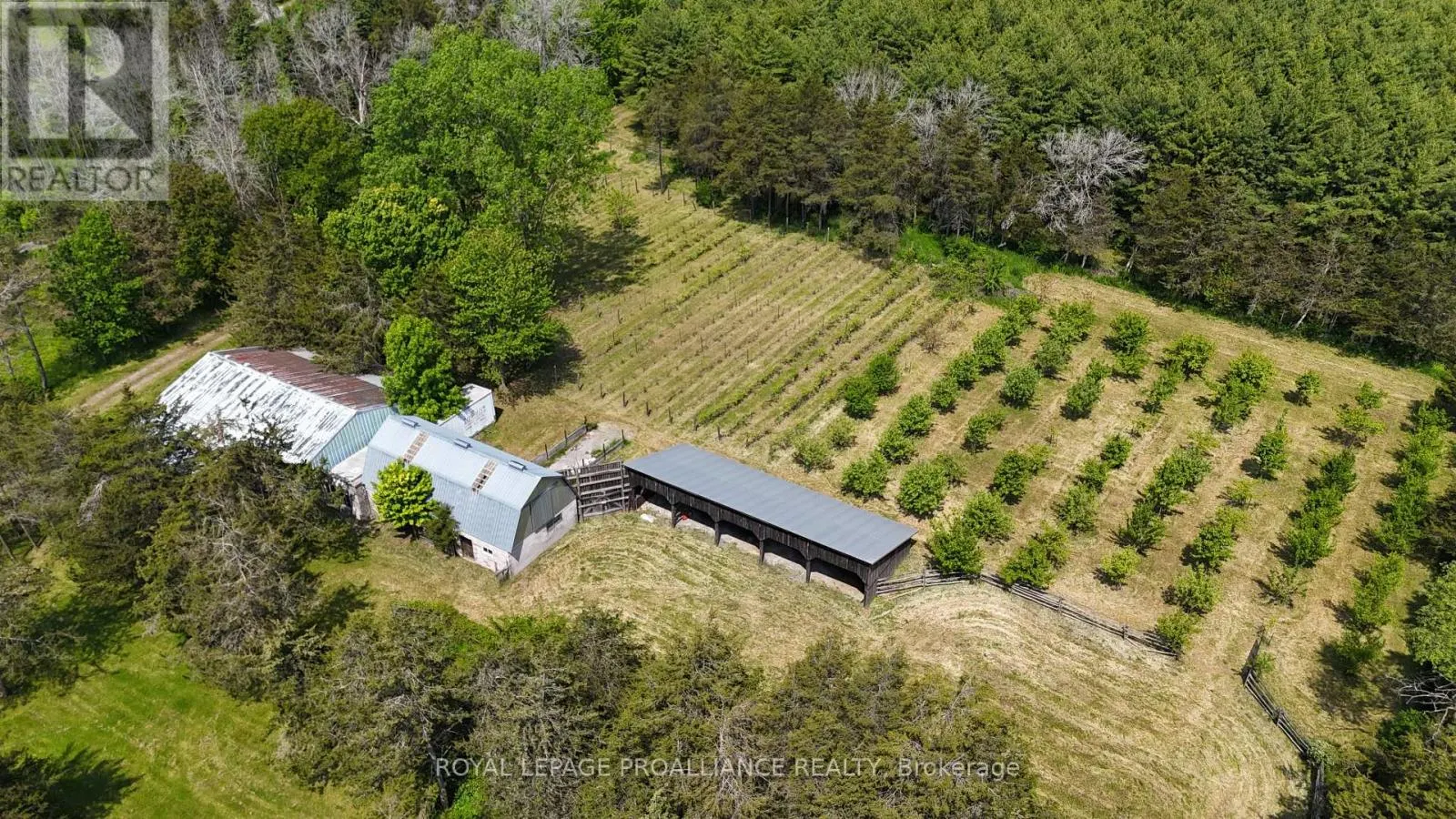 4563 COUNTY ROAD 9