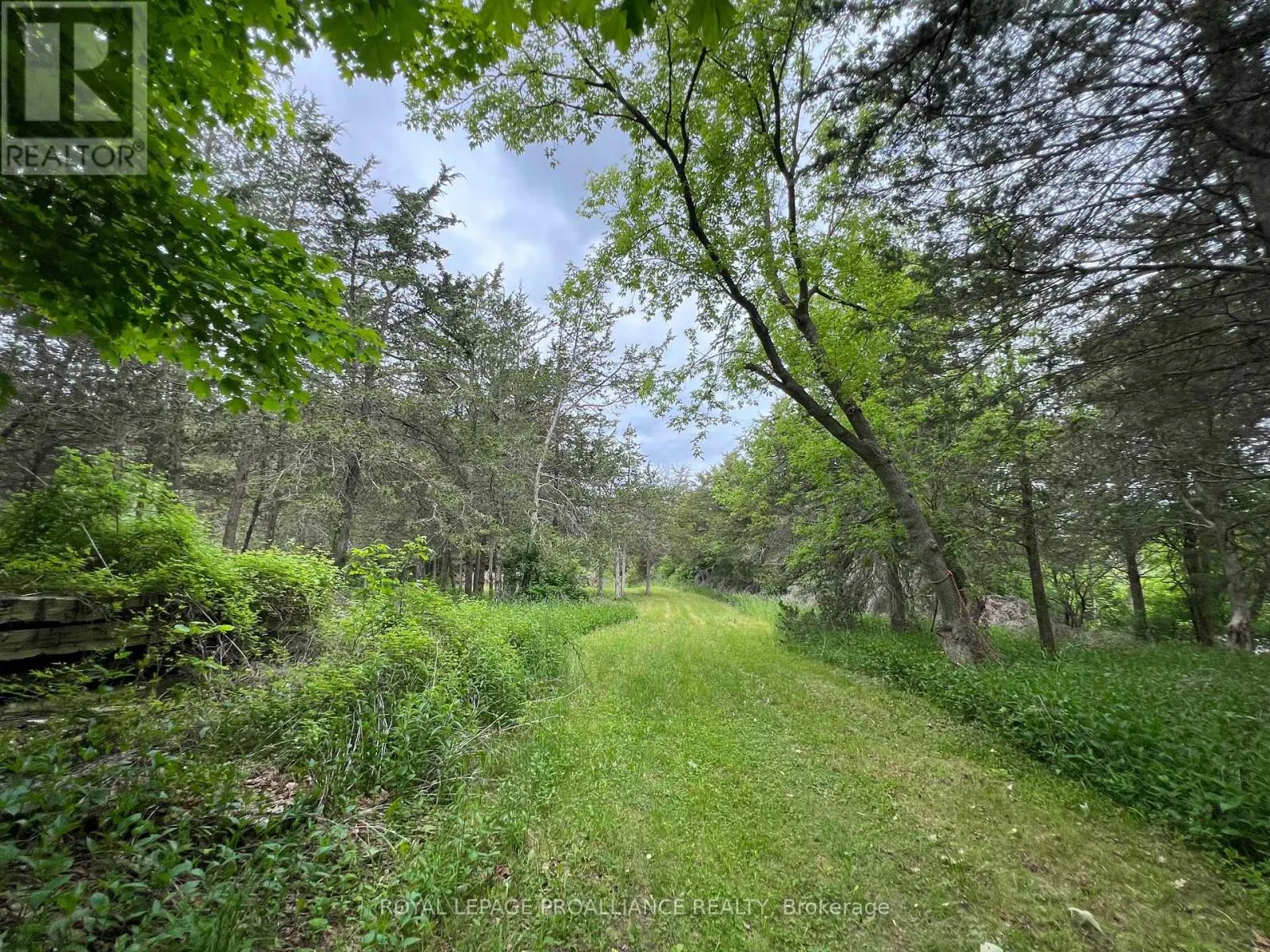 4563 COUNTY ROAD 9