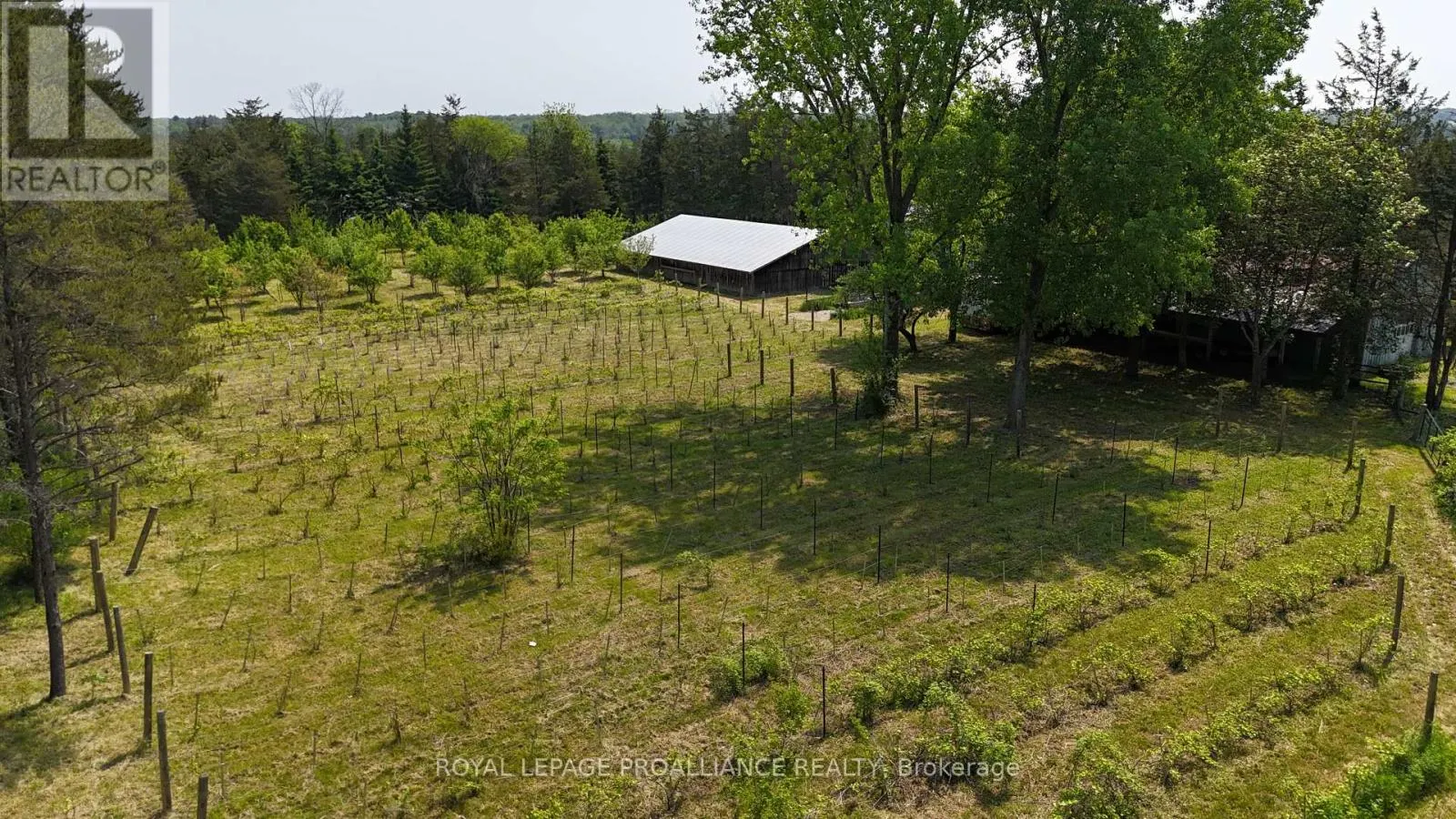 4563 COUNTY ROAD 9