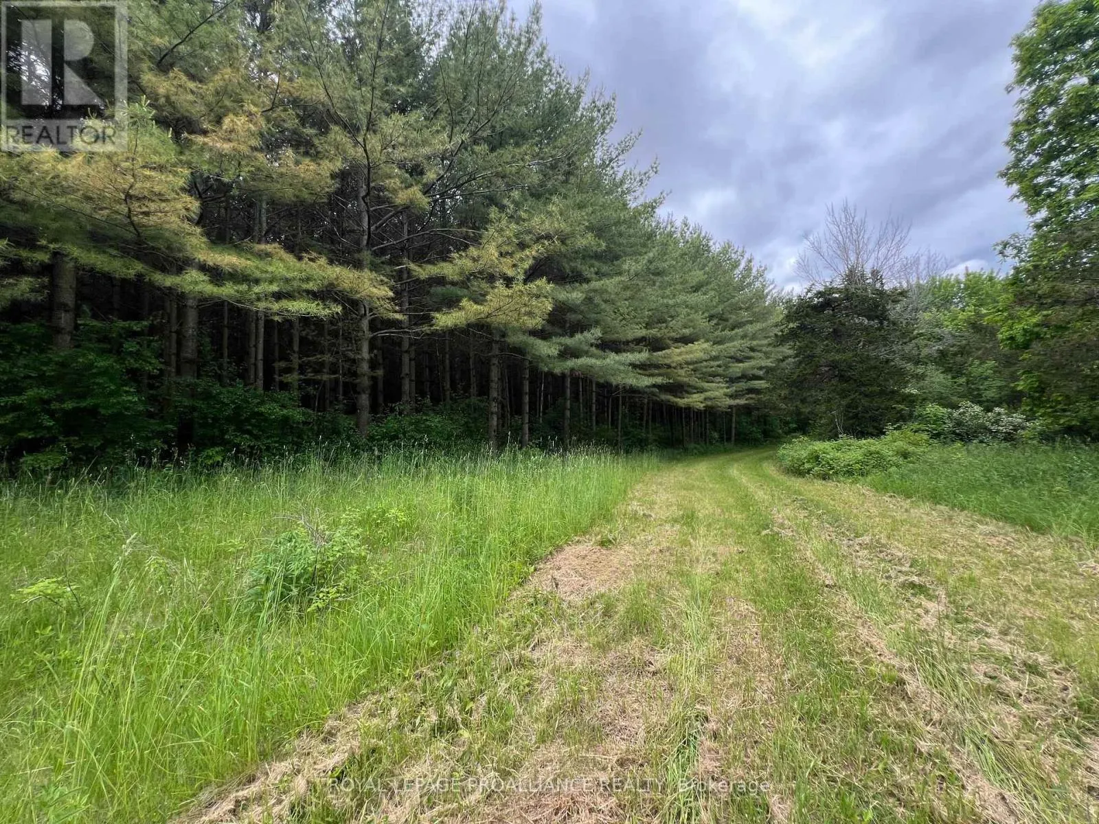 4563 COUNTY ROAD 9