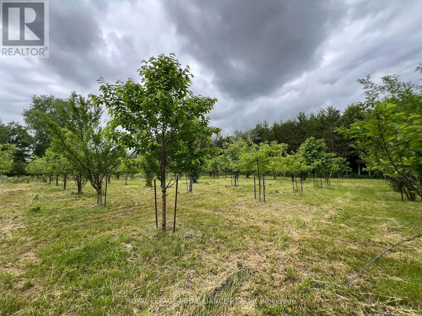 4563 COUNTY ROAD 9