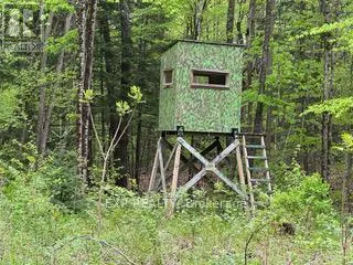 1703 MATAWATCHAN ROAD N