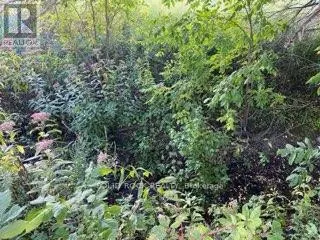 LOT FLAGG ROAD