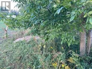 LOT FLAGG ROAD
