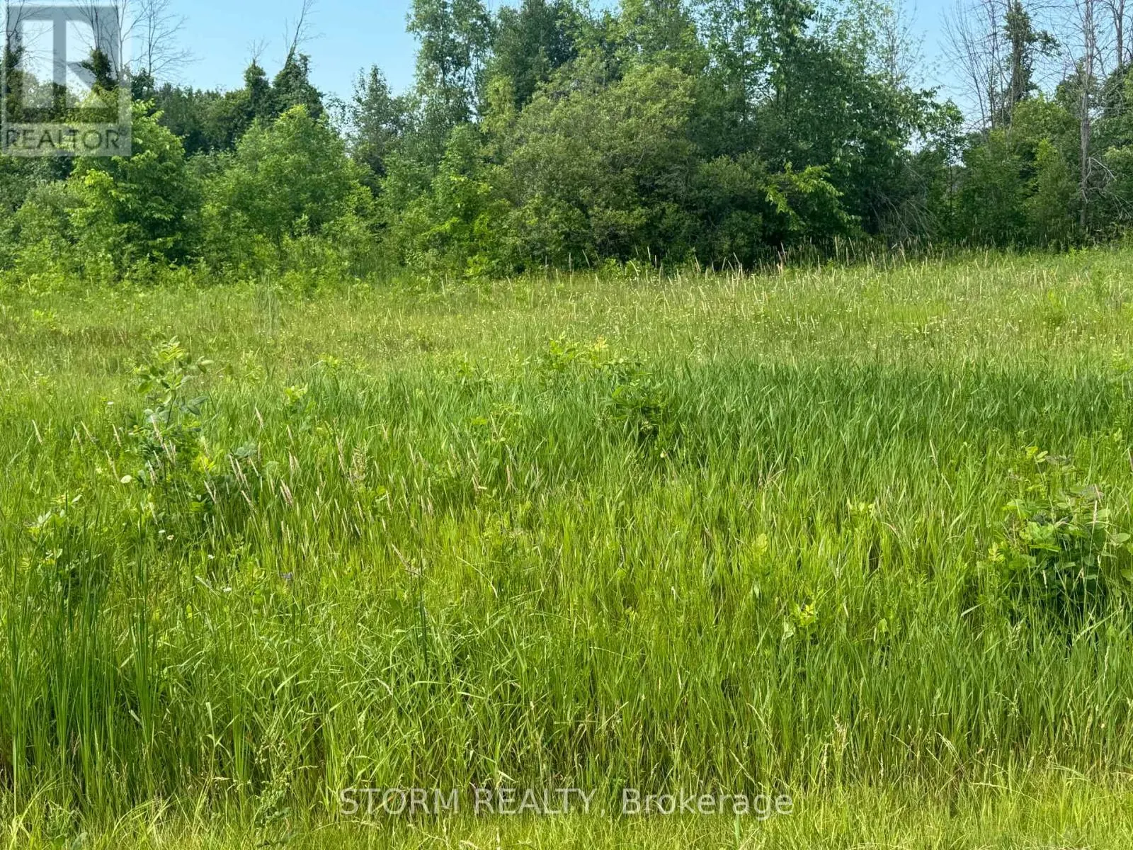LOT 18 COUNTY 18 ROAD