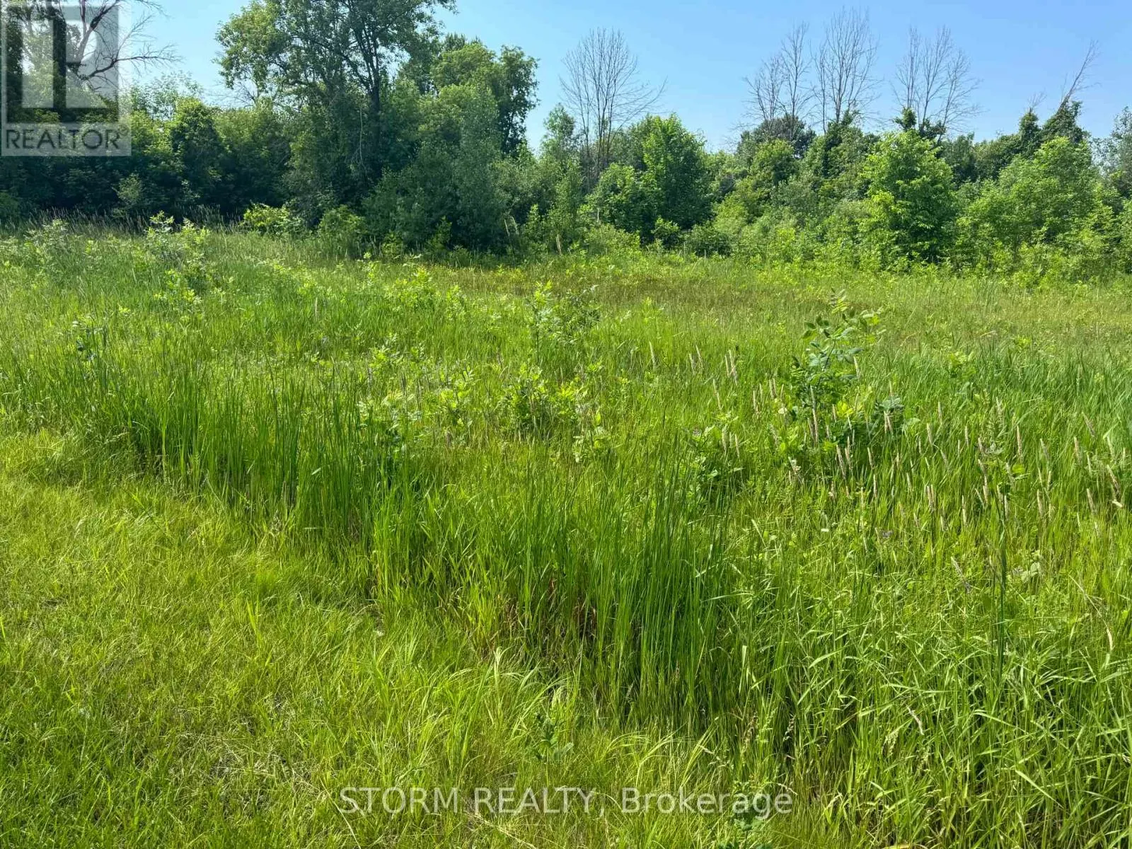LOT 18 COUNTY 18 ROAD
