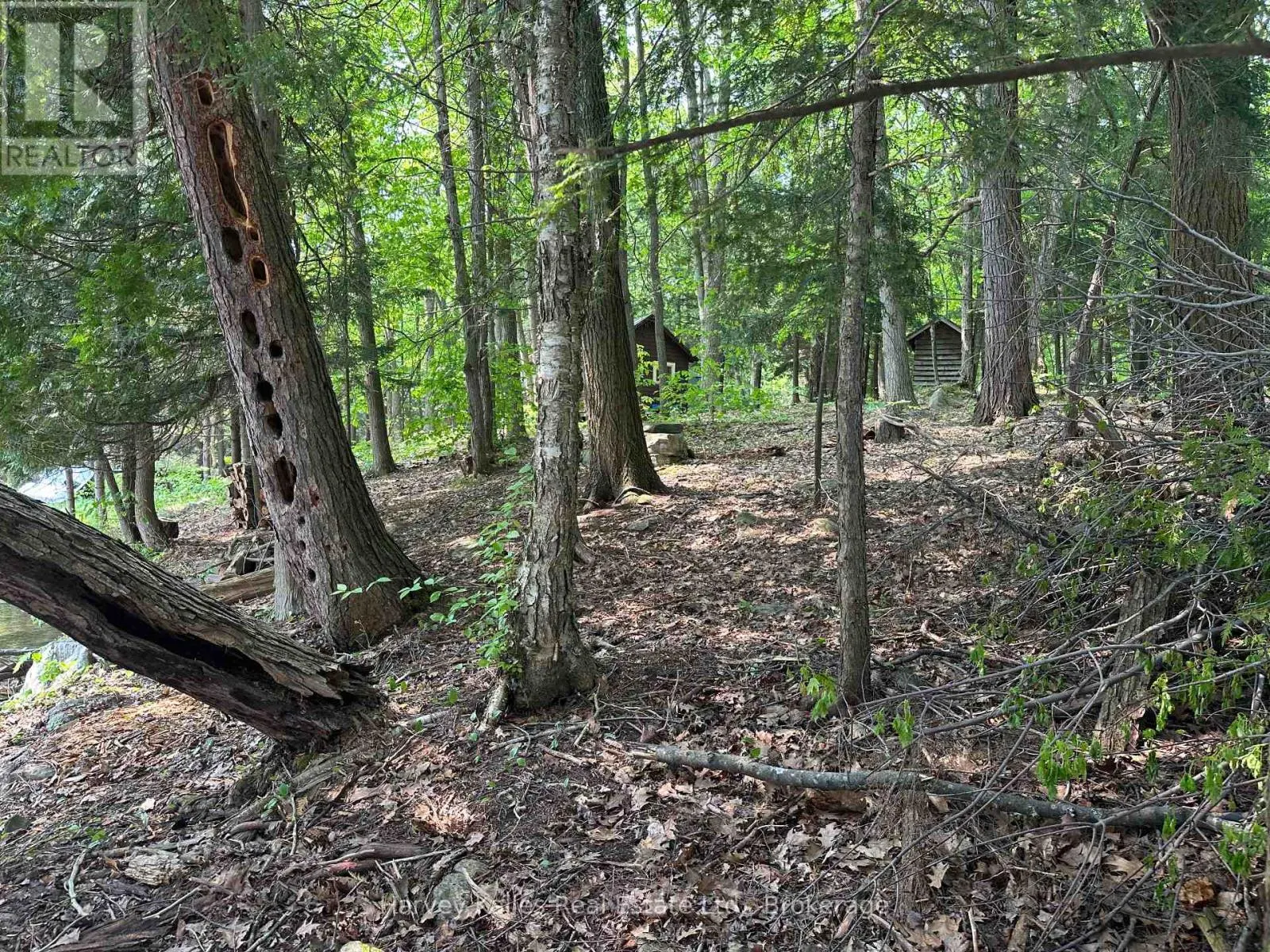 4 - 1254 BARLOCHAN ROAD, #4