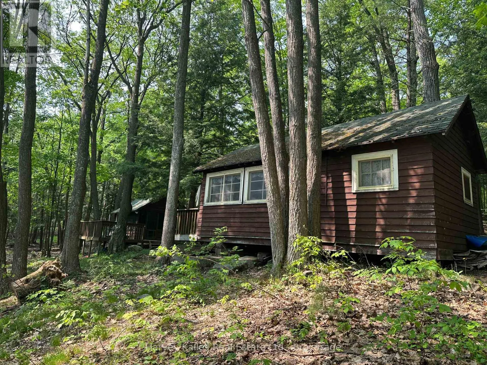 4 - 1254 BARLOCHAN ROAD, #4