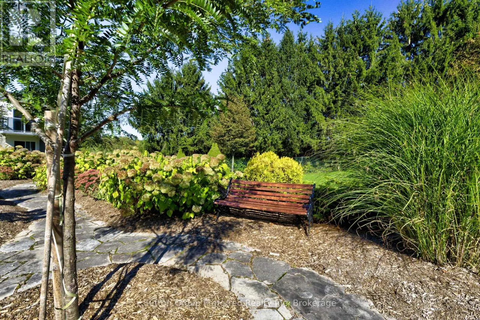 102 - 163 FERGUSON AVENUE, #102