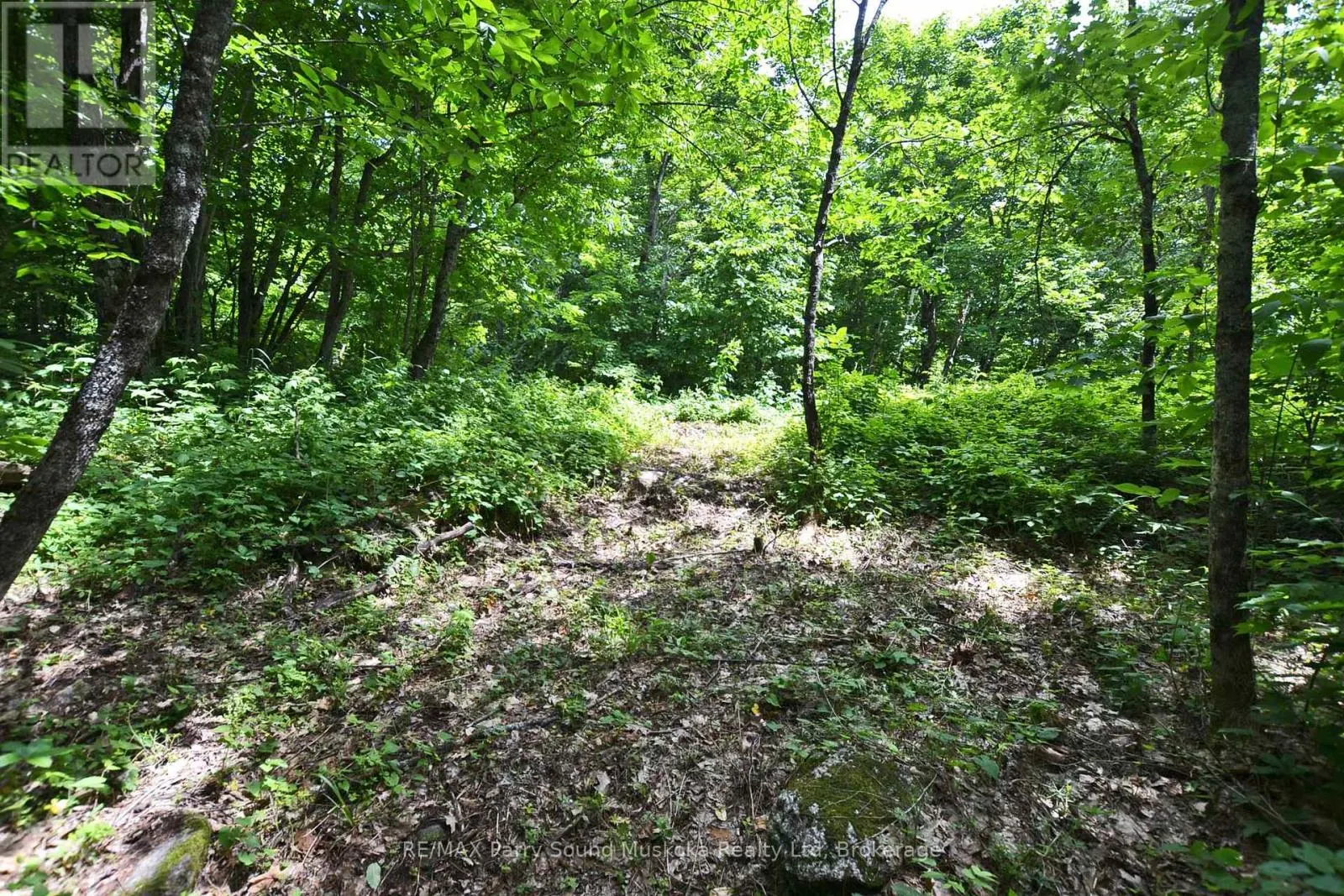 LOT 1 SHIELDS DRIVE