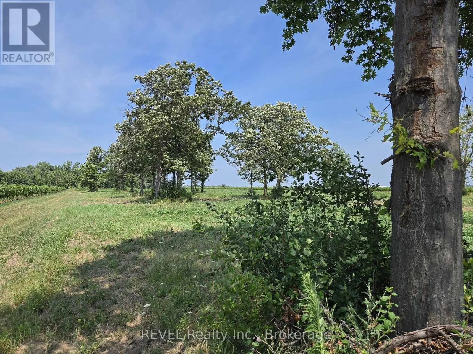 240 EASTCHESTER AVENUE