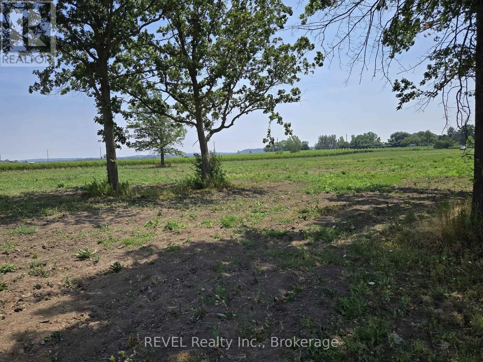 240 EASTCHESTER AVENUE