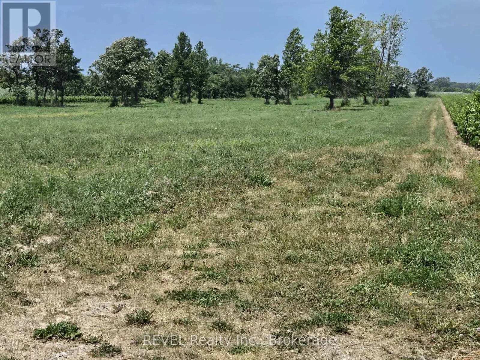 240 EASTCHESTER AVENUE