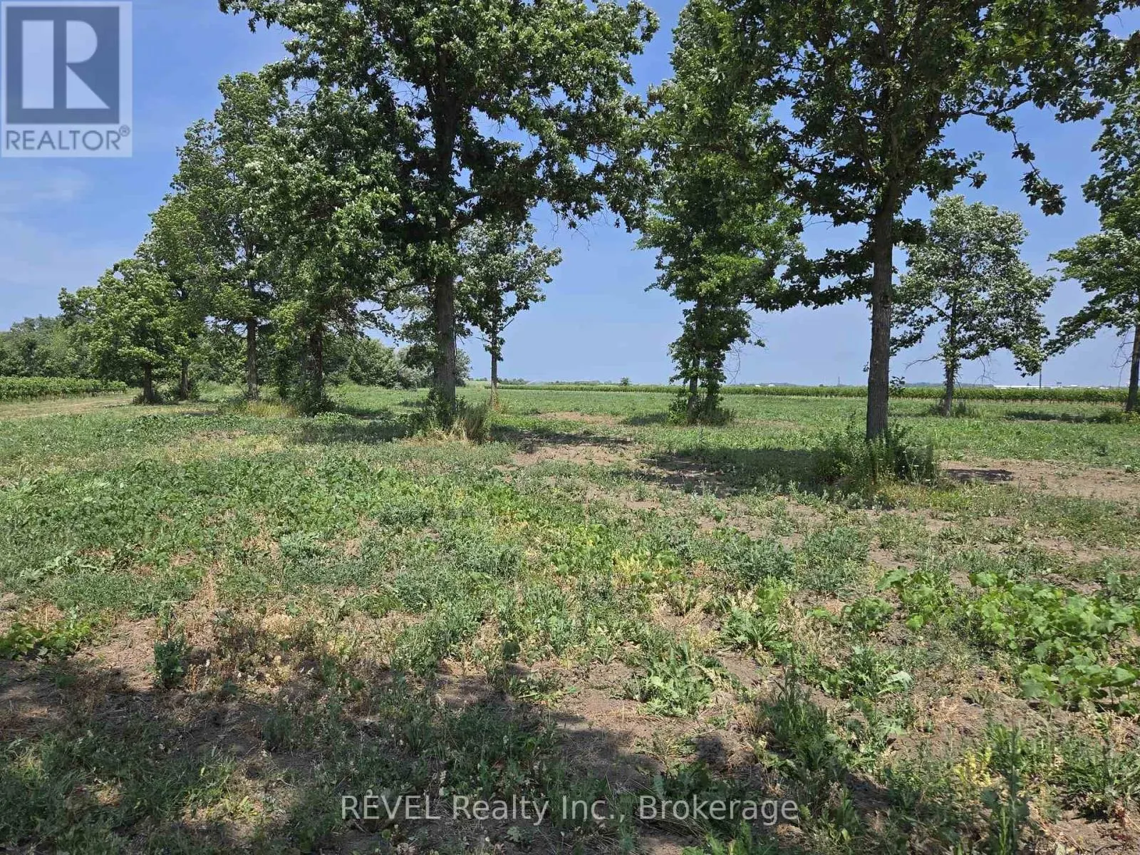 240 EASTCHESTER AVENUE