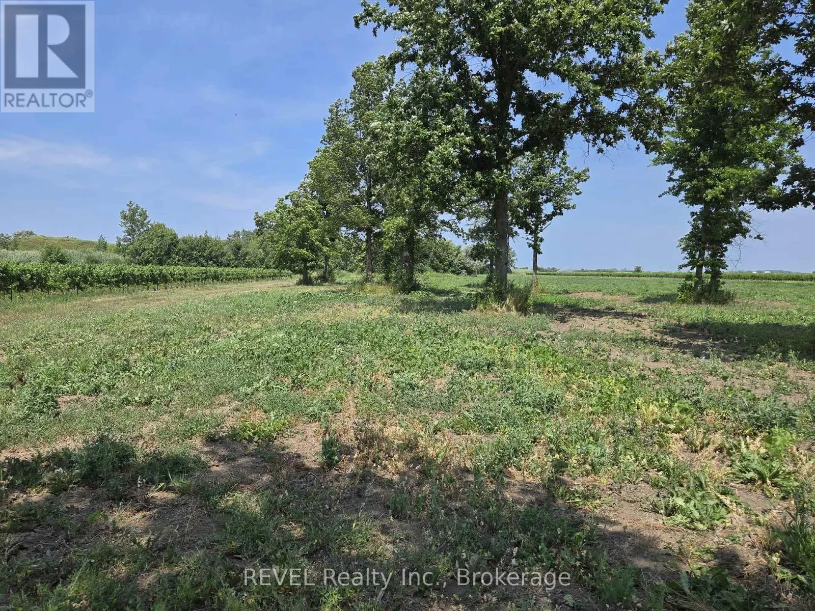 240 EASTCHESTER AVENUE