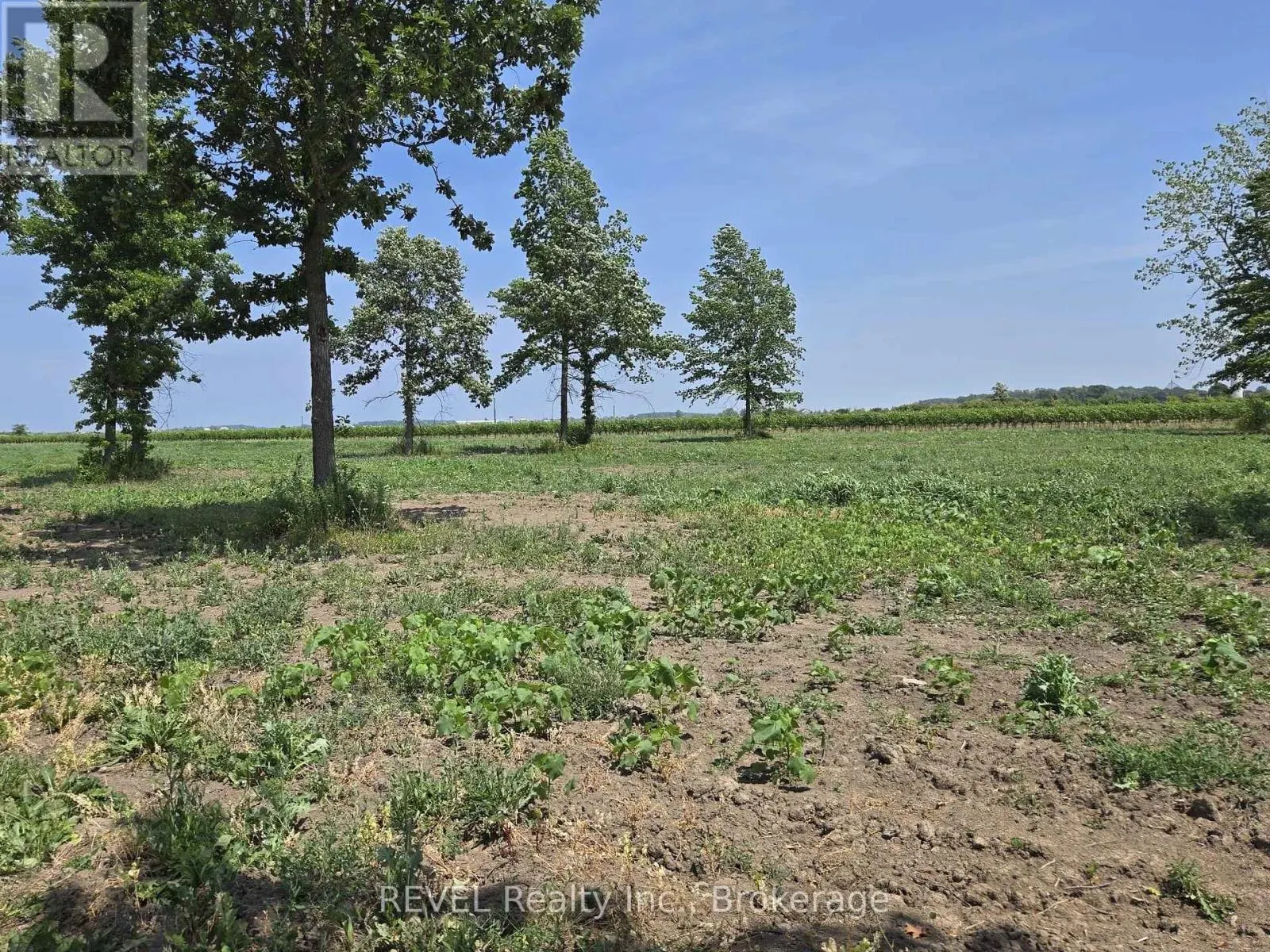 240 EASTCHESTER AVENUE