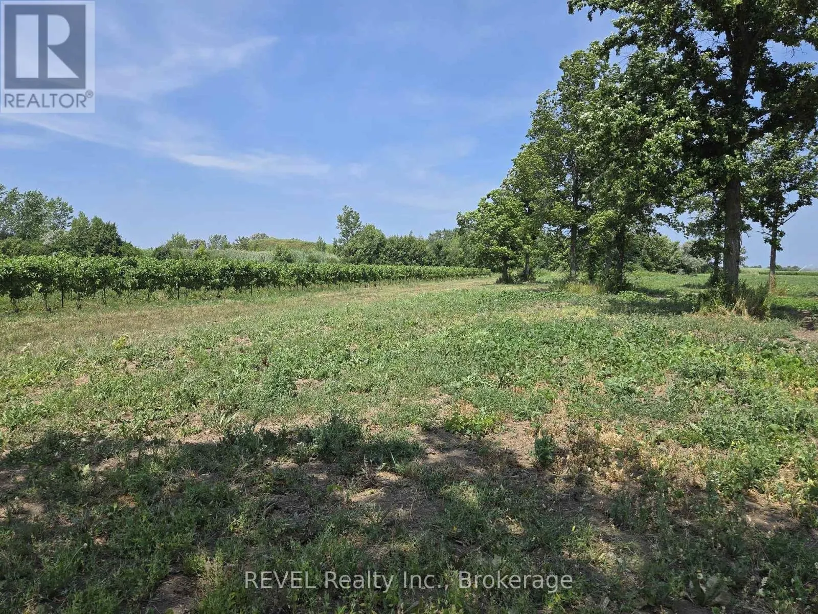 240 EASTCHESTER AVENUE