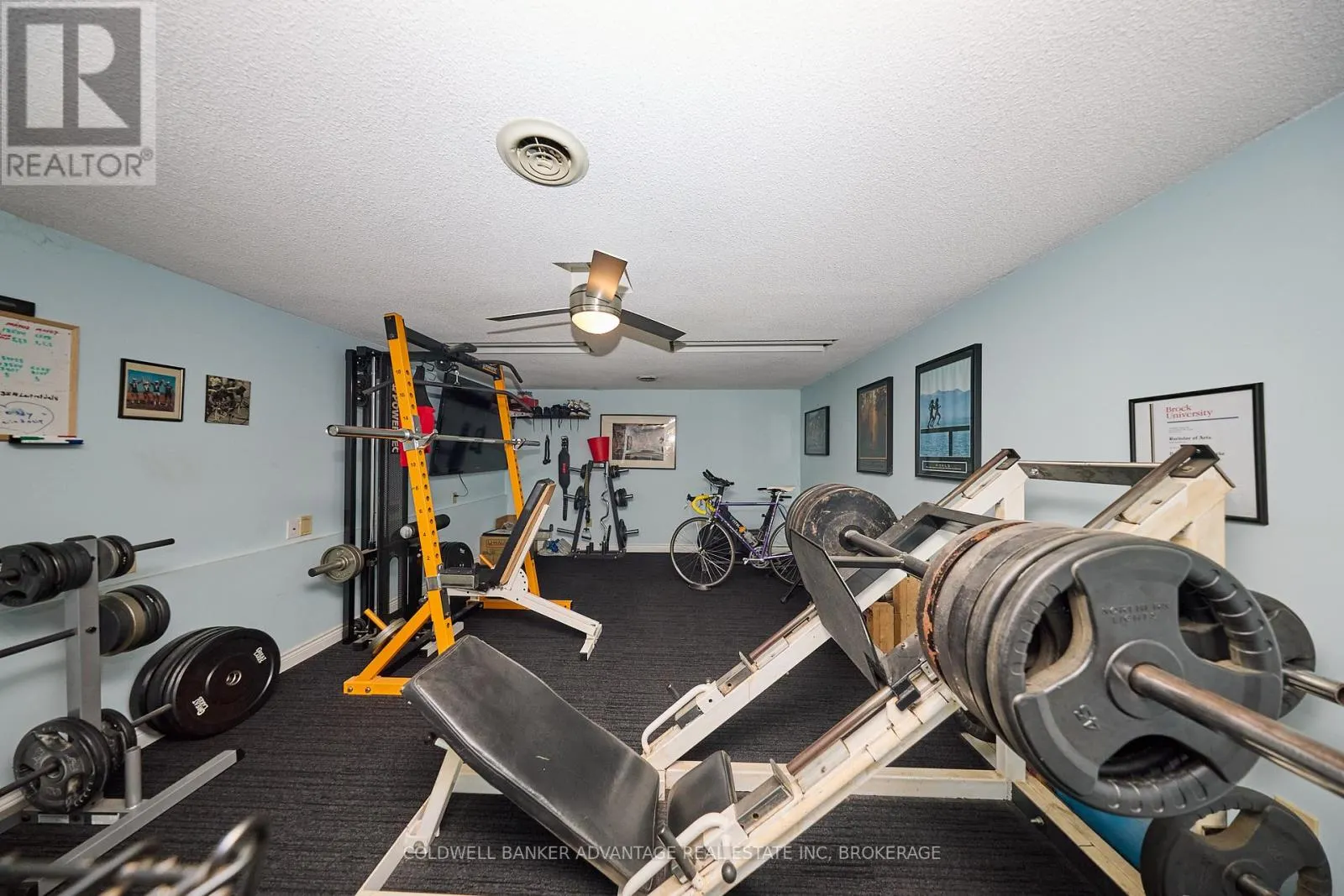 10572 LAKESHORE ROAD