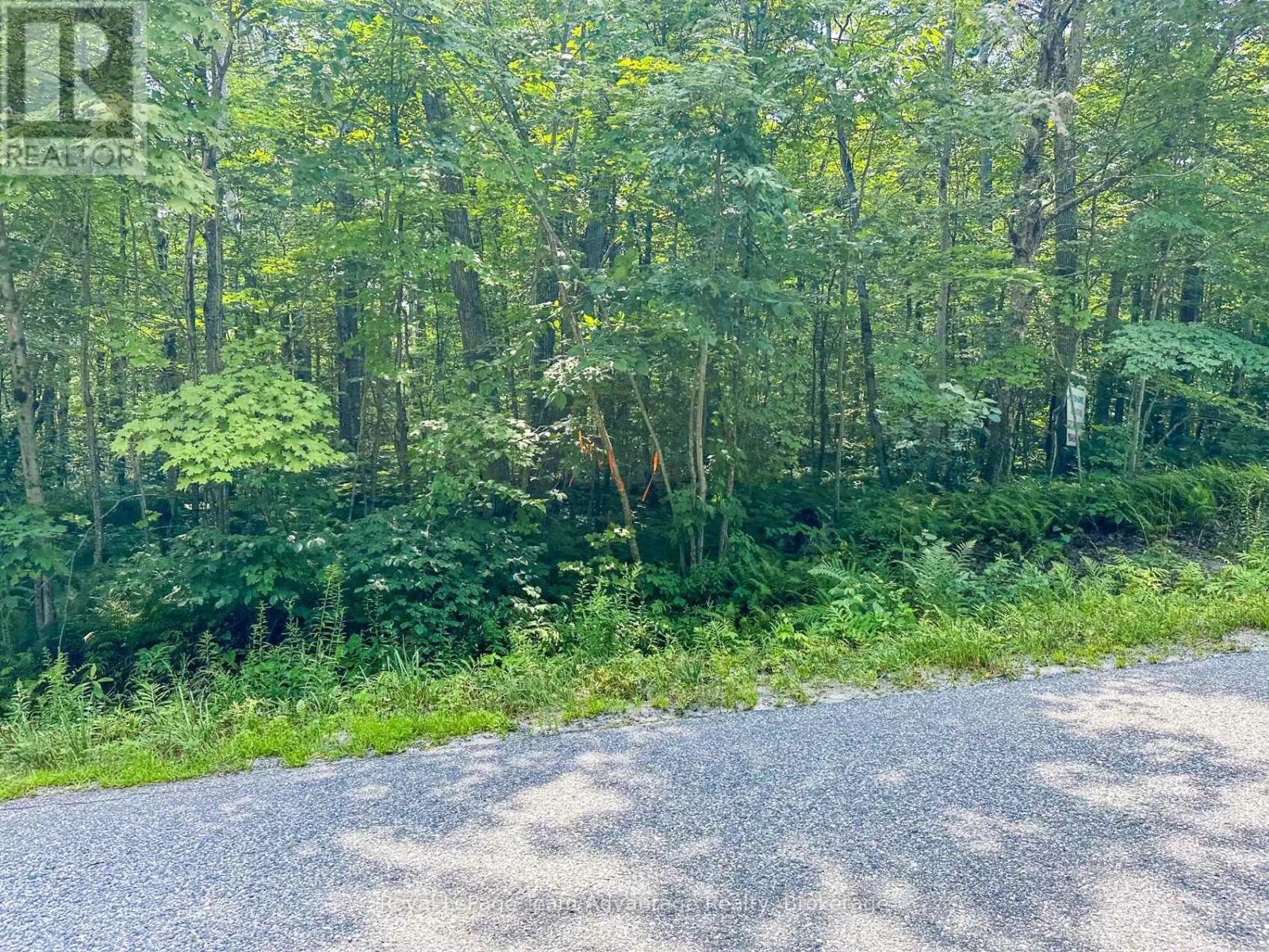 25 LONG LAKE ESTATES - PART 1 ROAD