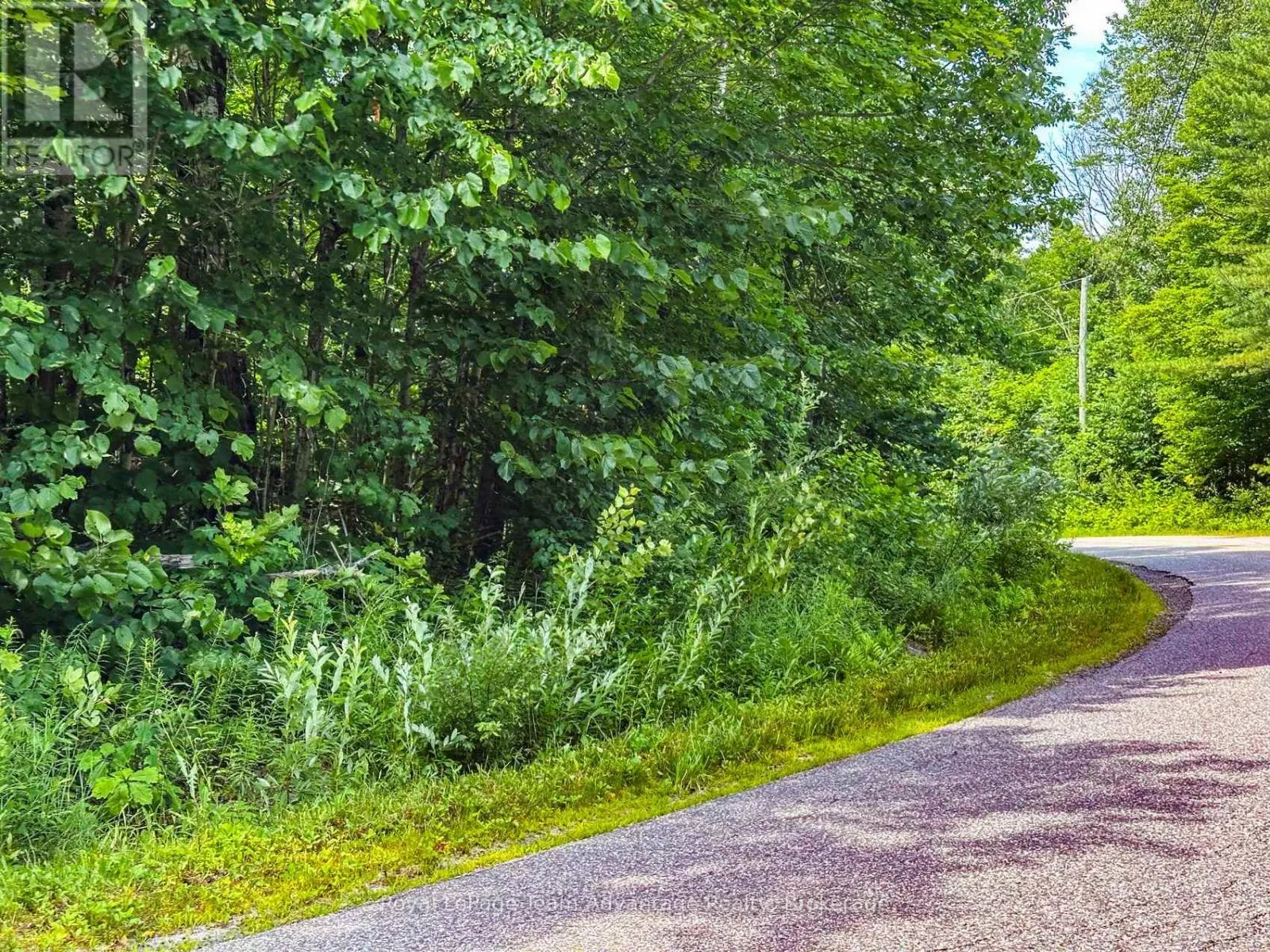 25 LONG LAKE ESTATES - PART 1 ROAD