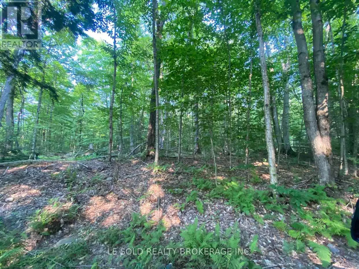 LOT # 7 - 1310 CAMEL LAKE ROAD