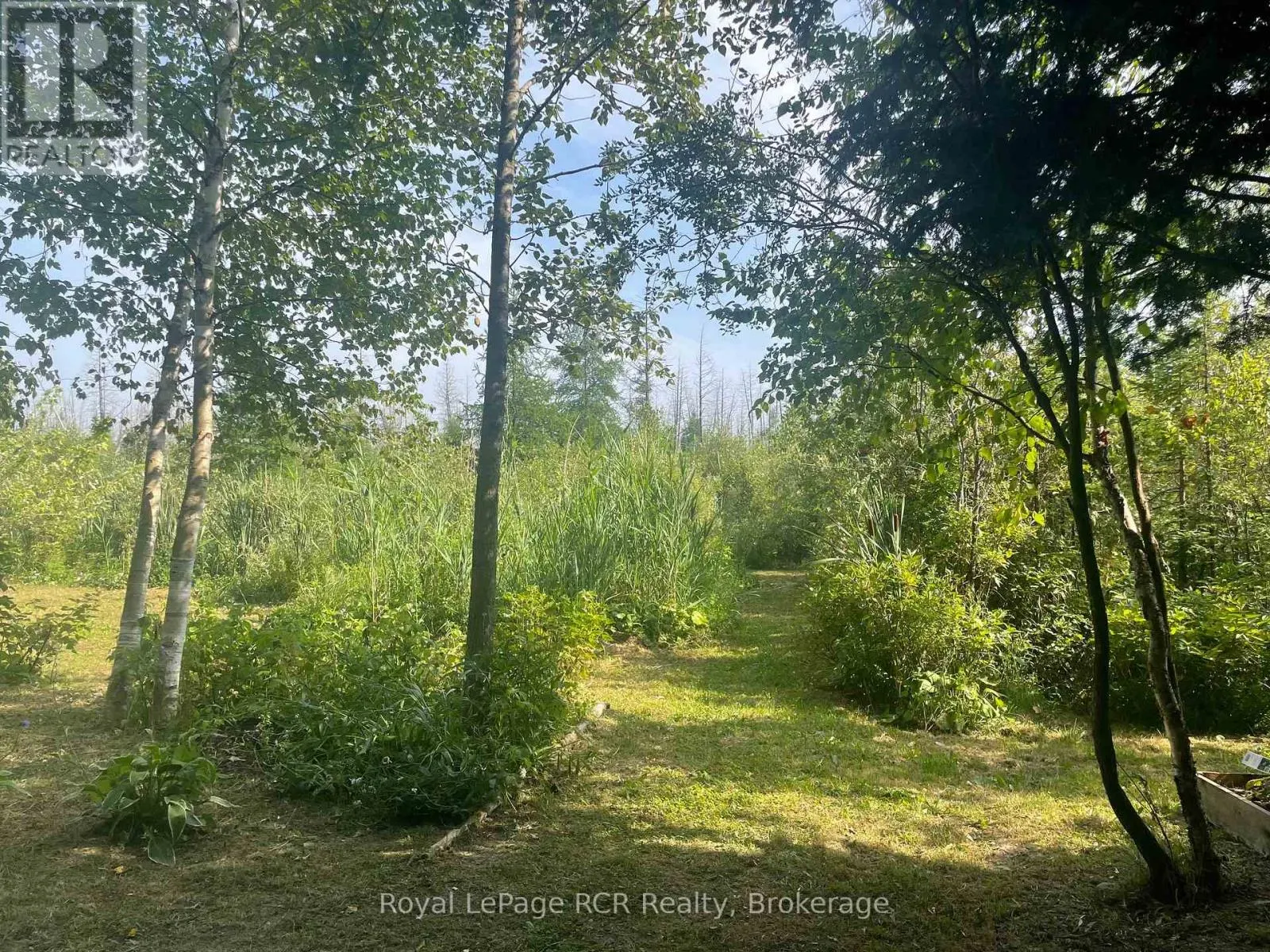 LOT 6 12TH CONCESSION B
