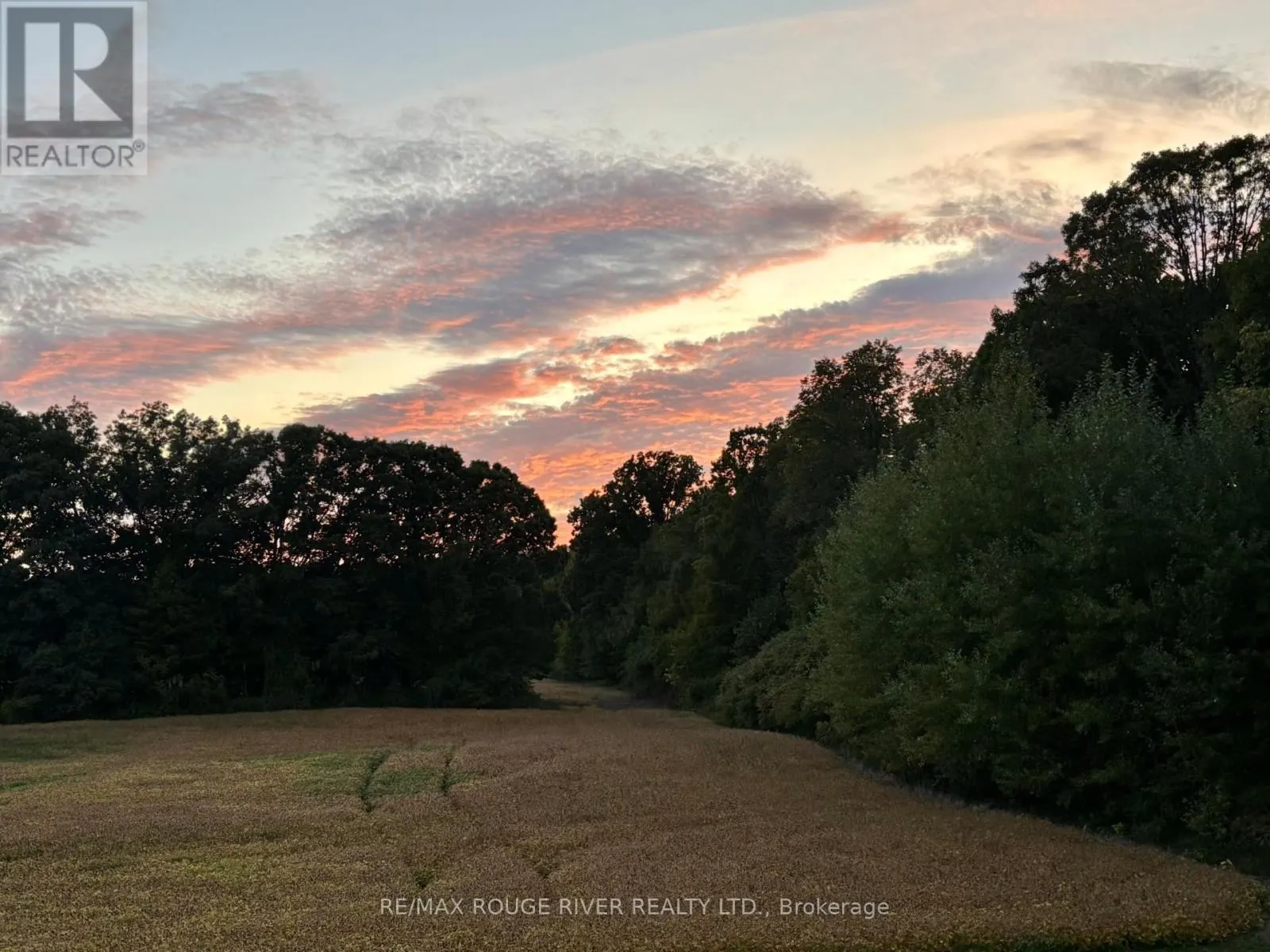 298 TOBACCO ROAD