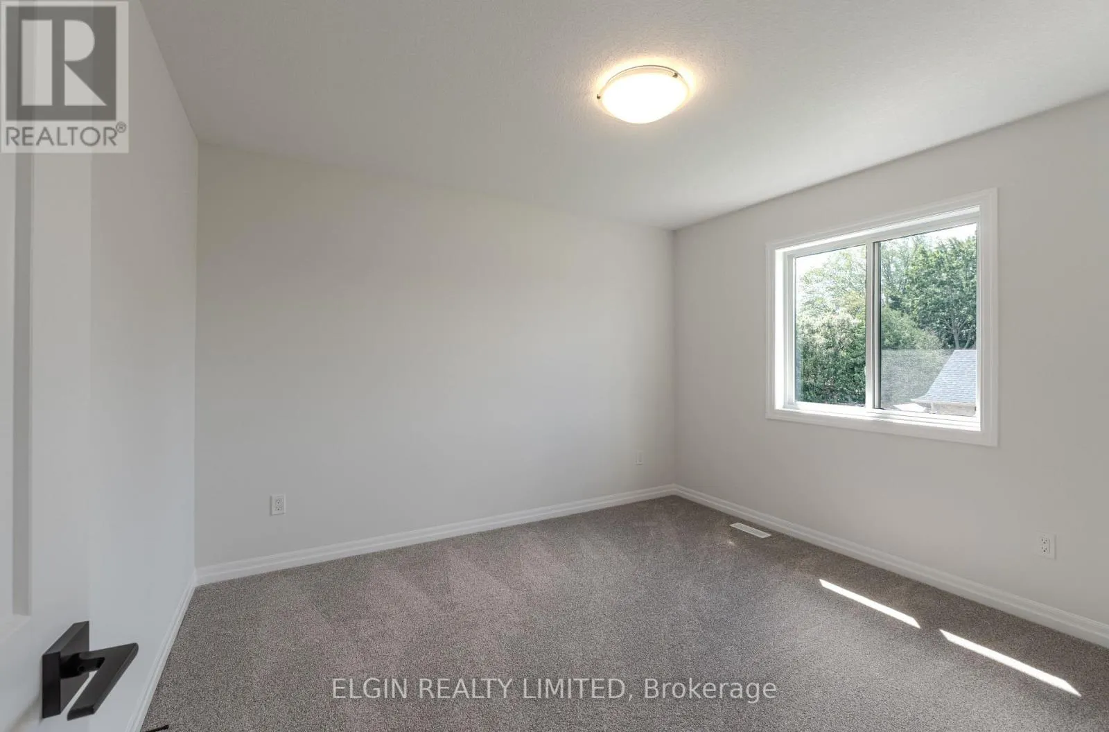 12 BRAUN AVENUE