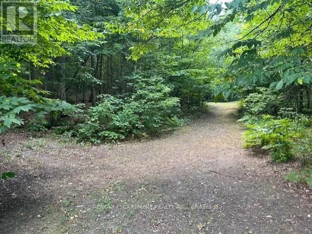 17182 HIGHWAY 118