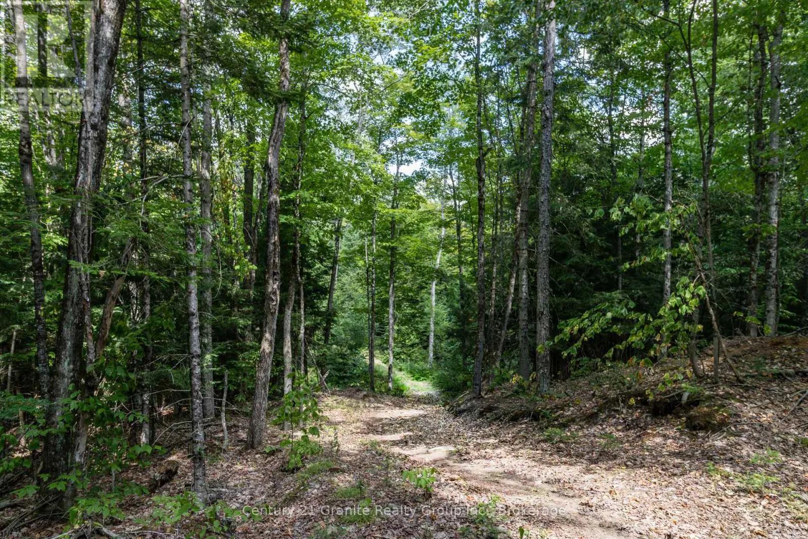 1071 DARDANELLES ROAD
