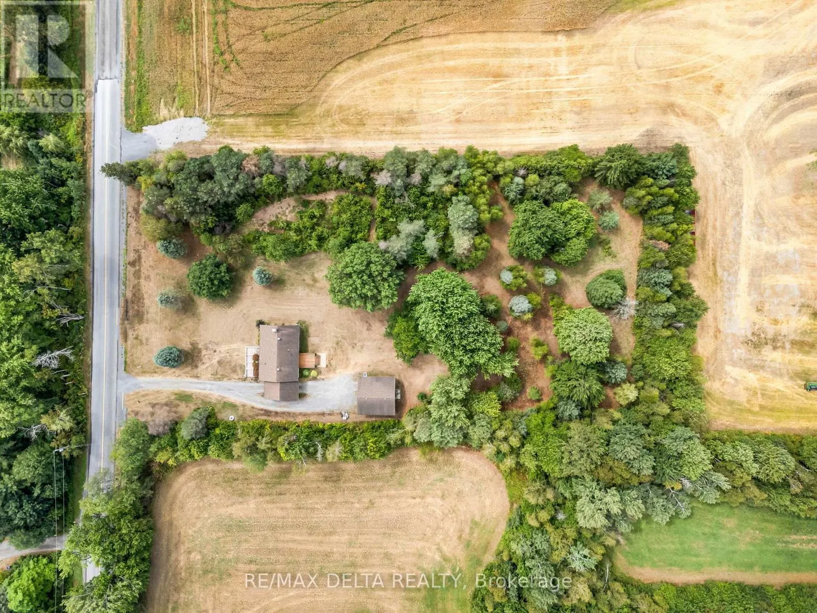 701 CON 9 PLANTAGENET CONCESSION