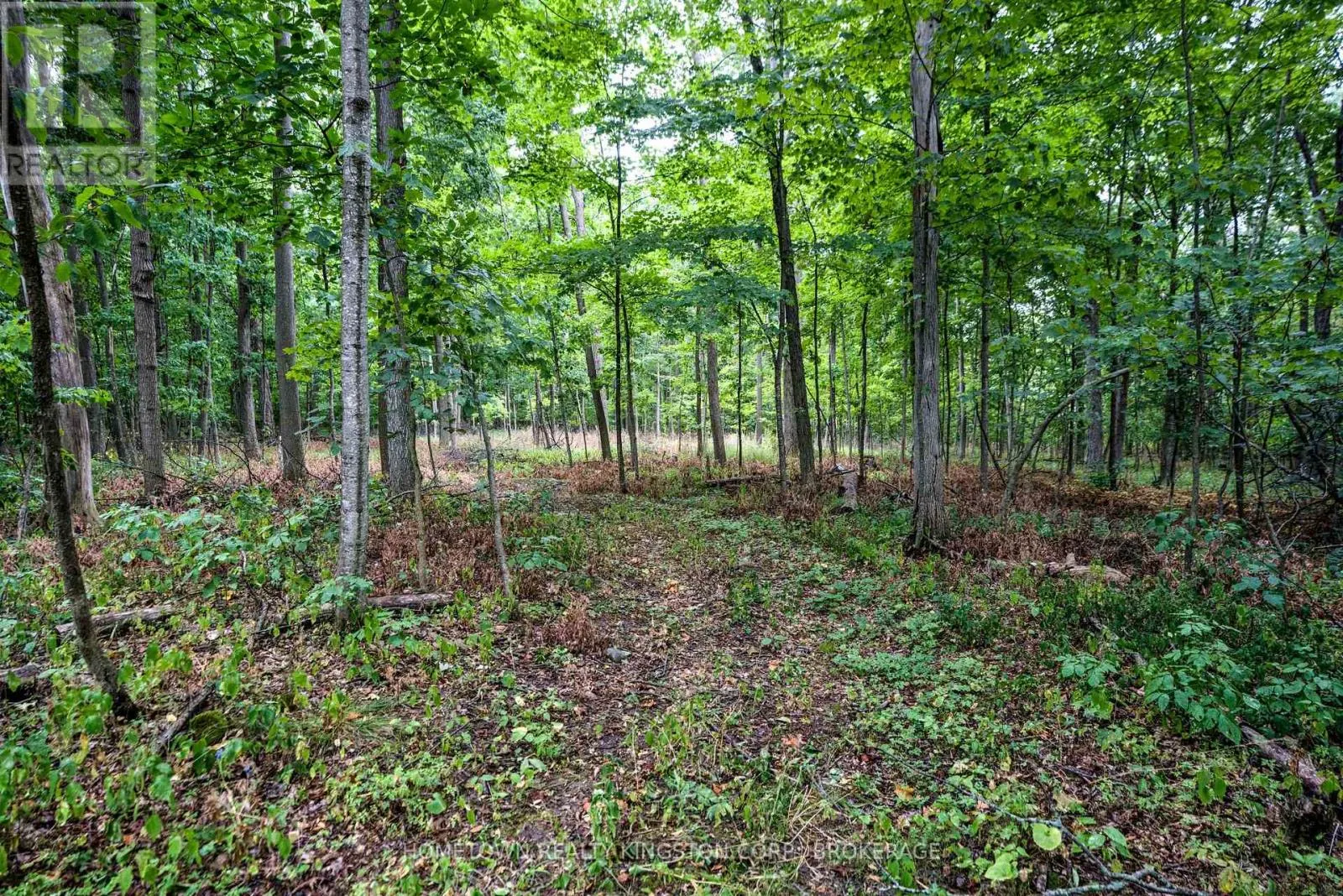 2435 QUABBIN ROAD