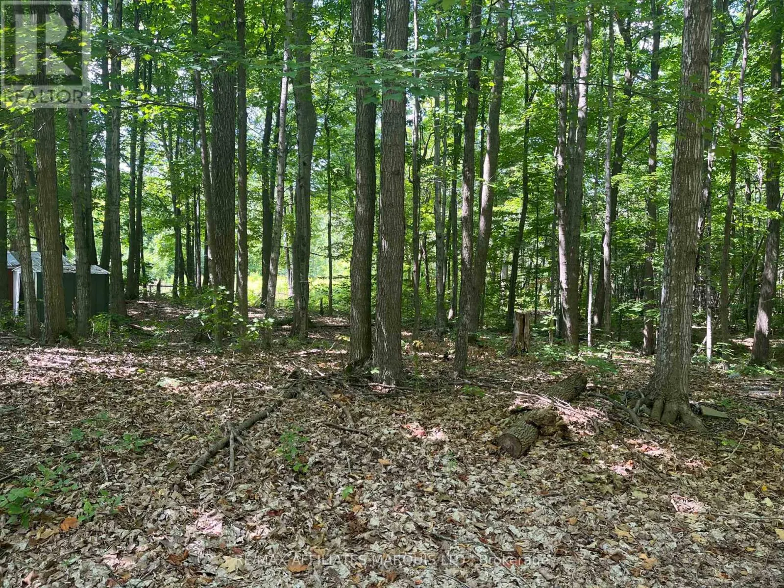 4960 COUNTY RD 34 ROAD