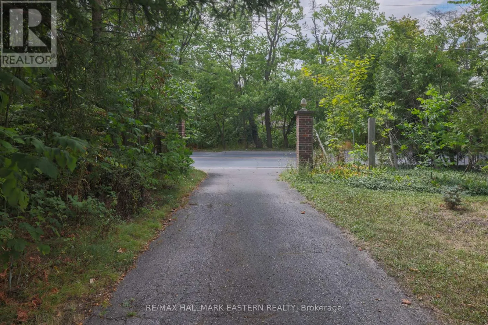 4372 COUNTY ROAD 29