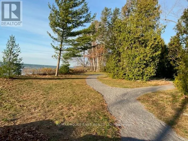 592 OSLER COURT
