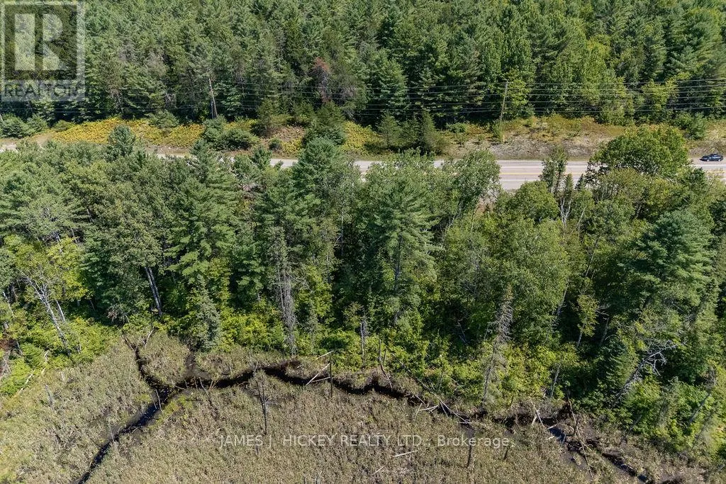 31755 HIGHWAY 17 HIGHWAY