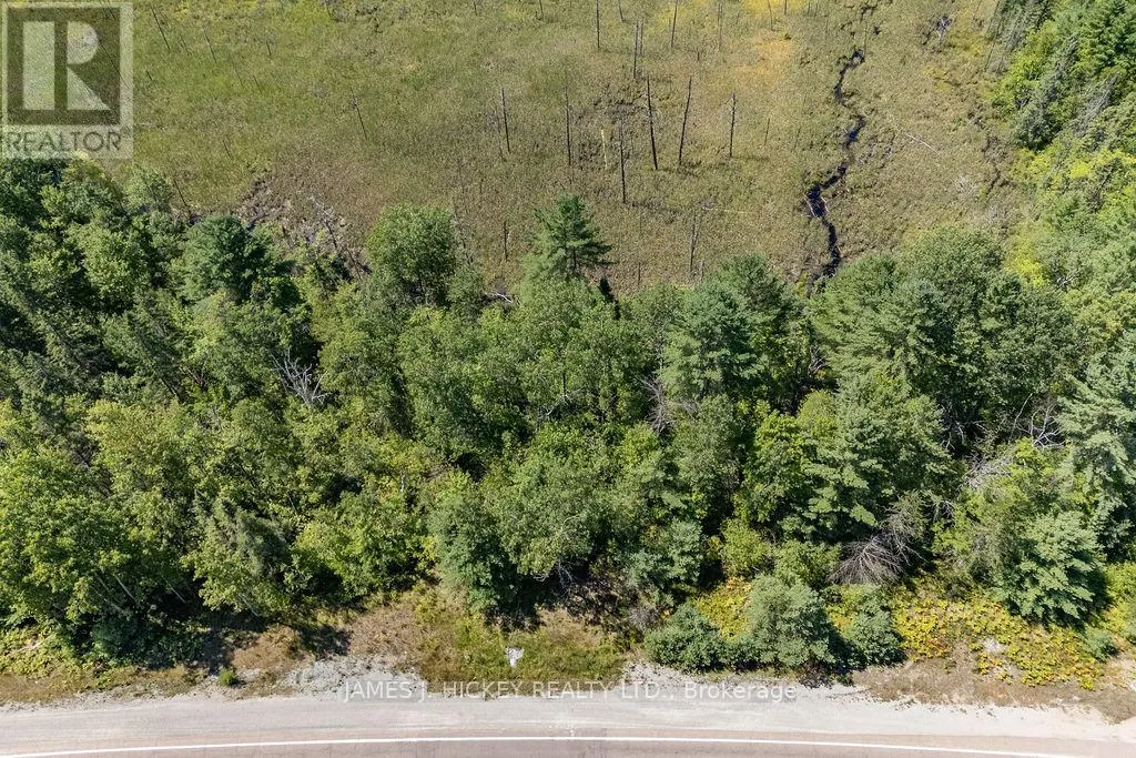 31755 HIGHWAY 17 HIGHWAY