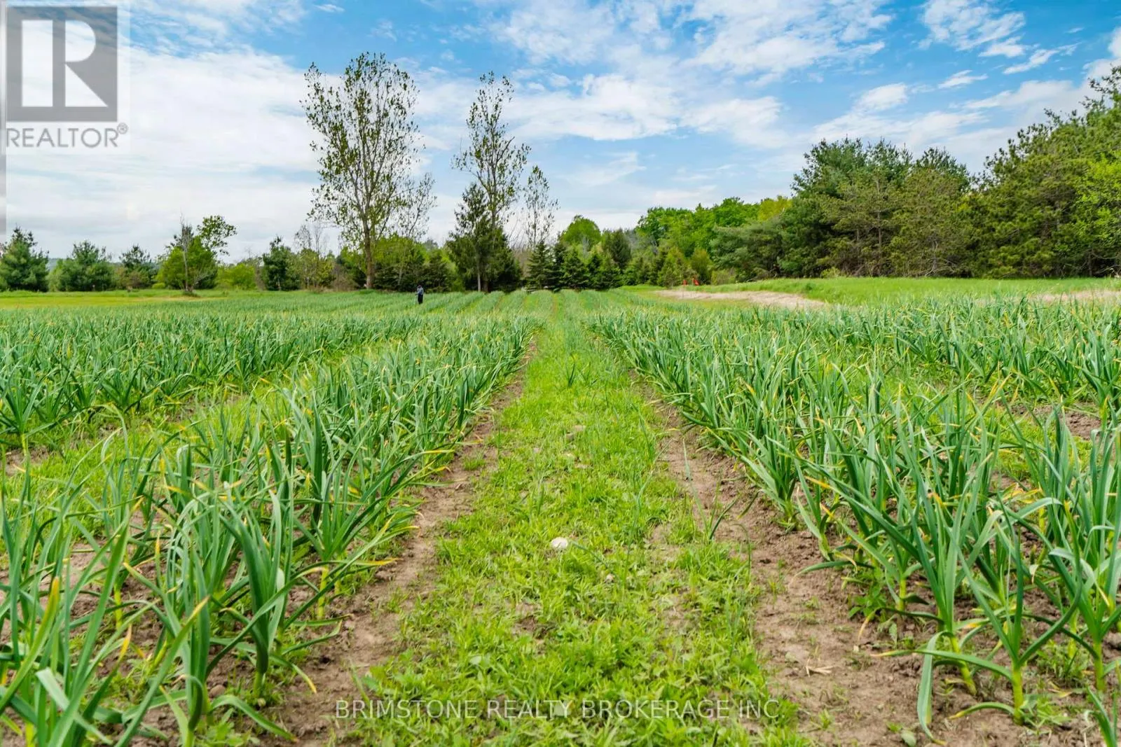 936488 DUFFERIN COUNTY ROAD 18 ROAD