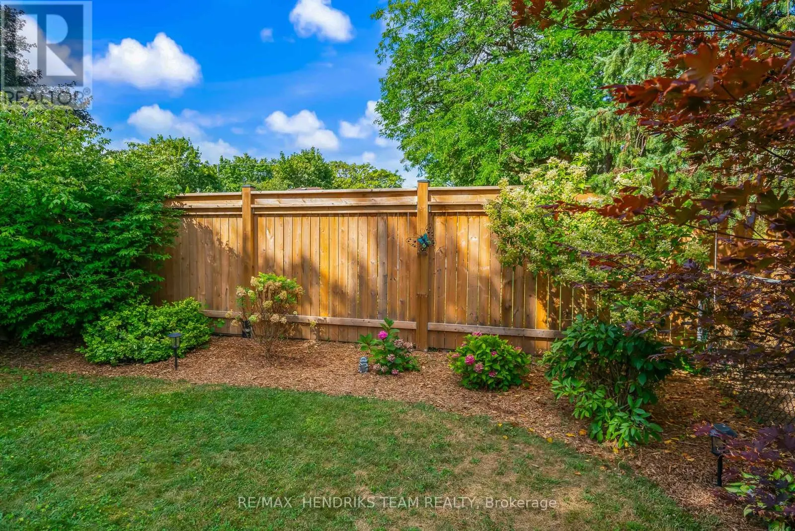 53 DUNKELD AVENUE