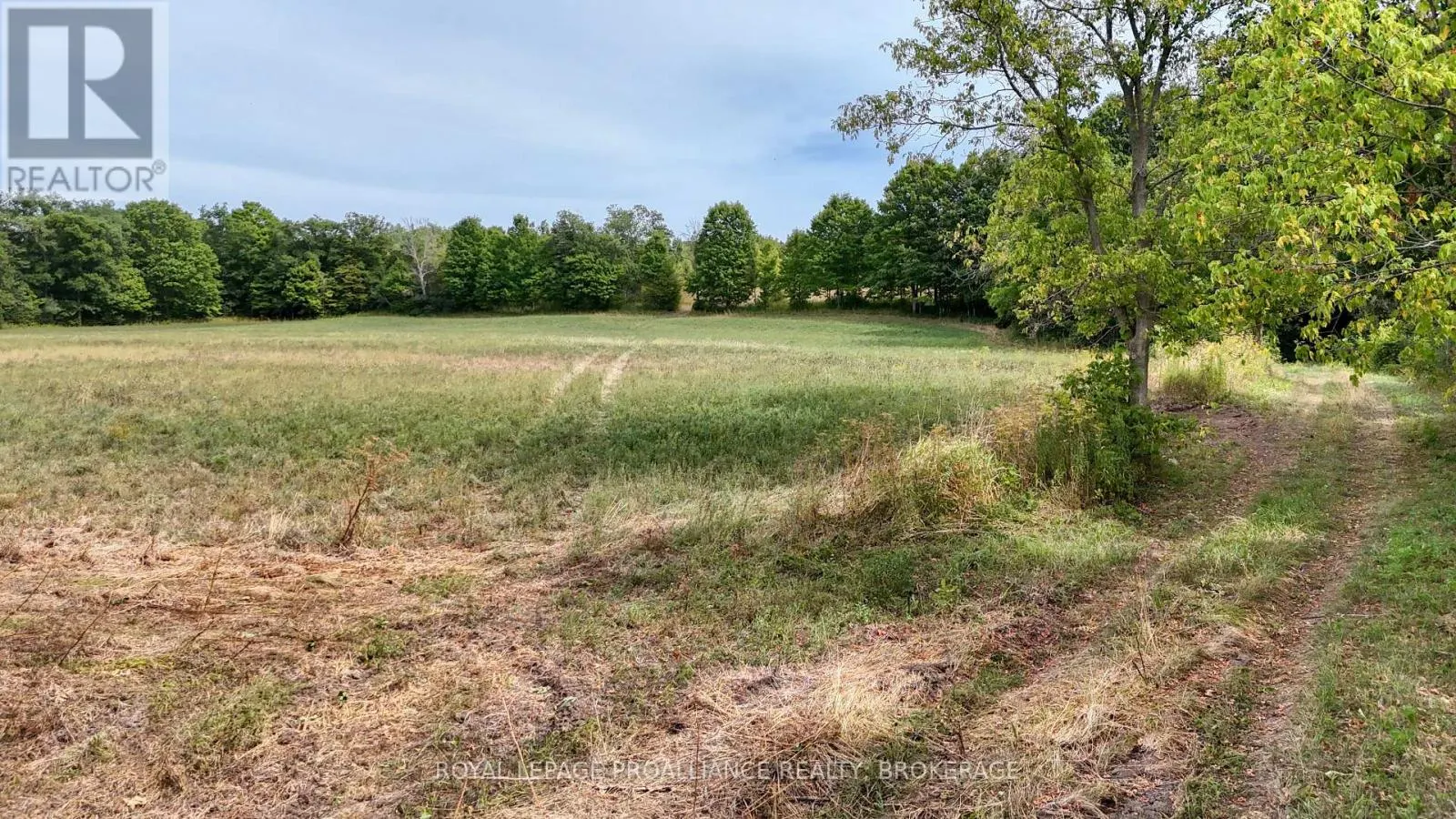 1551 COUNTY ROAD 1 EAST